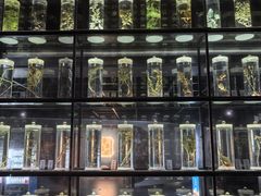 -广东中医药博物馆