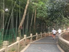 -灵岩山风景区