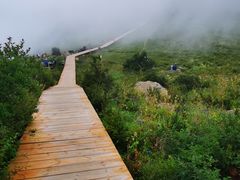 -白草畔自然风景区