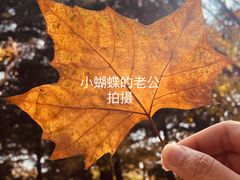 -八大关景区