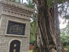 -黄帝陵