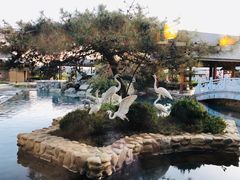 -大连铭湖国际观光牧场