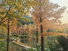 -云溪植物园