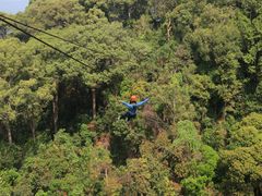 -清迈丛林飞跃 JungleFlight