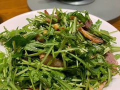 -渝乡老妈·北京烤鸭(六里桥店)