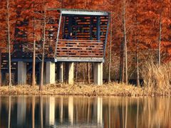 -昆山城市生态森林公园