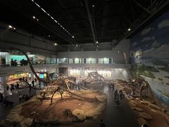 -自贡恐龙博物馆