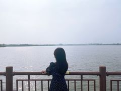 -鹅湖玫瑰文化园