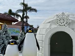 -汕头中海黄金海岸水上乐园