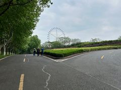 -宜兴龙背山森林公园