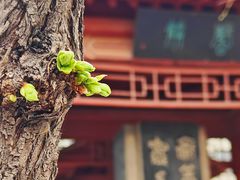 -碑林公园