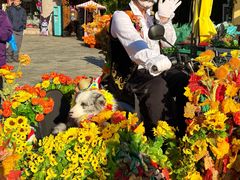 -大连海昌发现王国主题公园