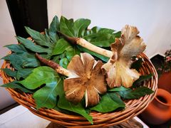 -聚乐城火锅(仁寿2023年餐饮名店)