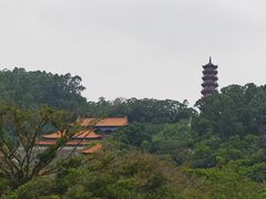 -南沙蒲洲花园