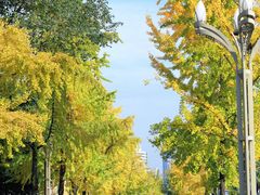 -四川大学(望江校区)