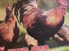 -锅老头海鲜铁锅炖