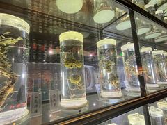 -广东中医药博物馆