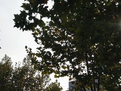 -南京航空航天大学(明故宫校区)