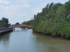 -东寨港红树林旅游区