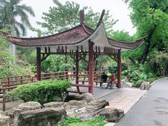 -晓港公园