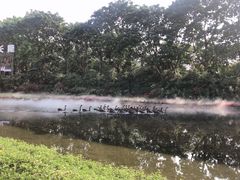 -广州长隆飞鸟乐园