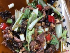 -青城甲(青城山店)