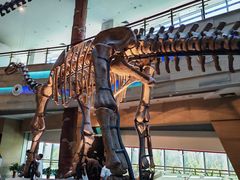 -安徽省地质博物馆