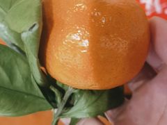 -惠友大虾(太原北街店)