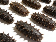 -宫品海参专卖店(黄浦老西门店)