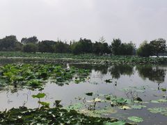 -云龙湖旅游景区
