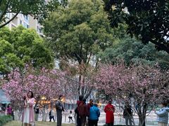 -西北湖绿化广场