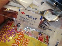 -全日本空输株式会社(上海办事处)
