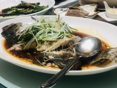 东星斑-榕树下海鲜馆(坪山路店)