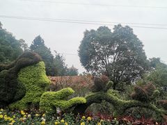-富乐山