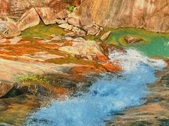 -广州白江湖森林公园