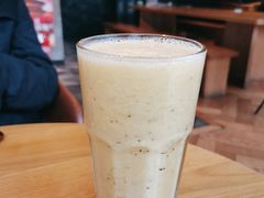 热带雨林-Wagas沃歌斯(环贸店)