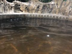 -龙达温泉生态城