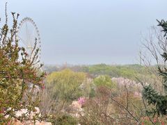 -石家庄市植物园