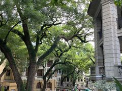 -星巴克臻选(广州沙面店)