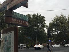 -三里屯东五街银杏大道