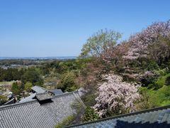 -奈良公园