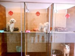 -奶牛家宠物酒店(嘉宏云顶店)