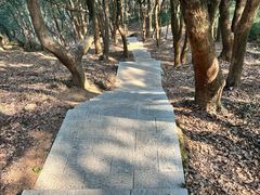-汤山公园
