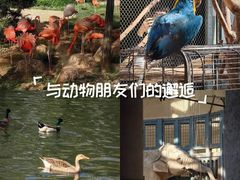 -太原动物园