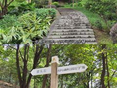 -火炉山森林公园