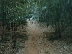 -杭州半山国家森林公园