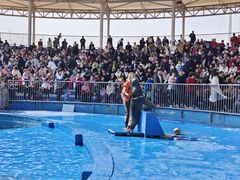 -华夏文旅海洋公园