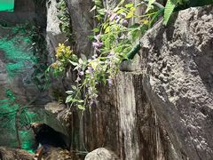 -老湘亲·品鉴湘菜(湖里店)