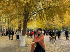 -辽宁大学(崇山校区)