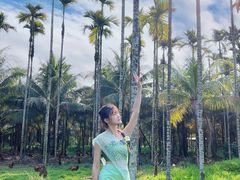 -兴隆槟榔园休闲农庄